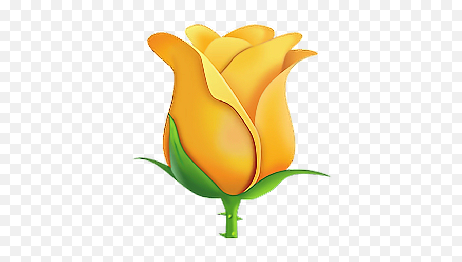 Emoji Emojisticker Sticker Sticker Yellowrose Rose Free - Tulip,Tulip Emoji