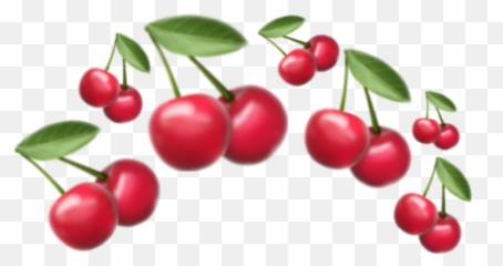 Sprite Cranberry Sprite Cranberry Hoodie Nike T Shirt Roblox Emoji Cranberry Emoji Free Transparent Emoji Emojipng Com - sprite cranberry t shirt roblox