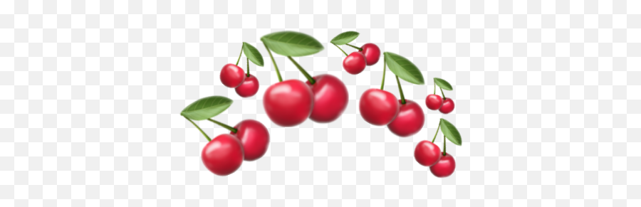 Emojicherry Crown - Lingonberry Emoji,Cranberry Emoji