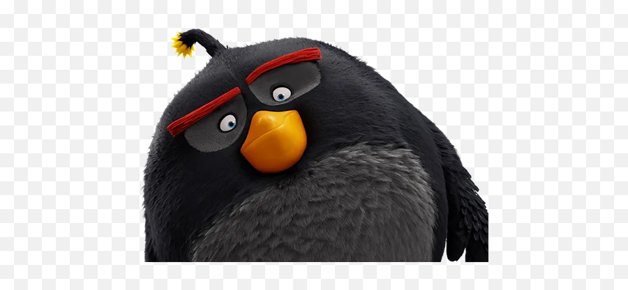 Imágenes De Angry Birds 2016 Personajes Imágenes Para Peques - Angry Birds Movie Bomb Emoji,Angry Bird Emoji