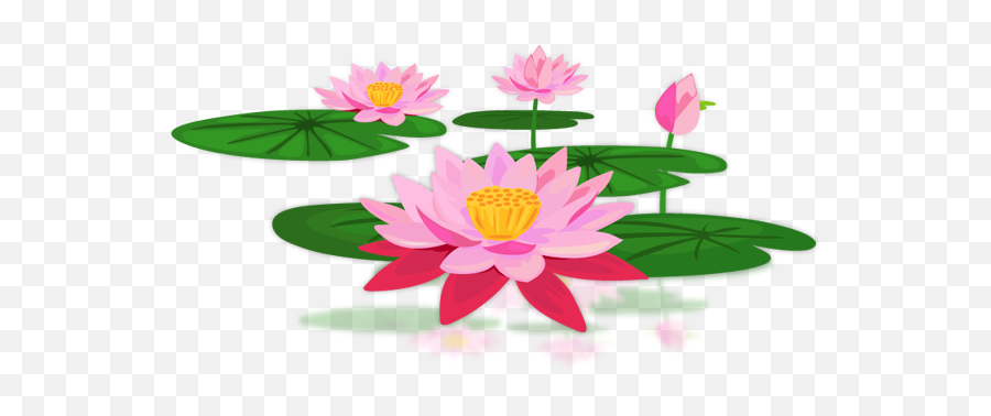Lotus Png Pic Png Svg Clip Art For Web - Download Clip Art Portable Network Graphics Emoji,Lotus Flower Emoji