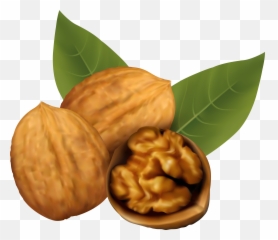 Walnuts Png Clipart Image Emoji,Walnut Emoji