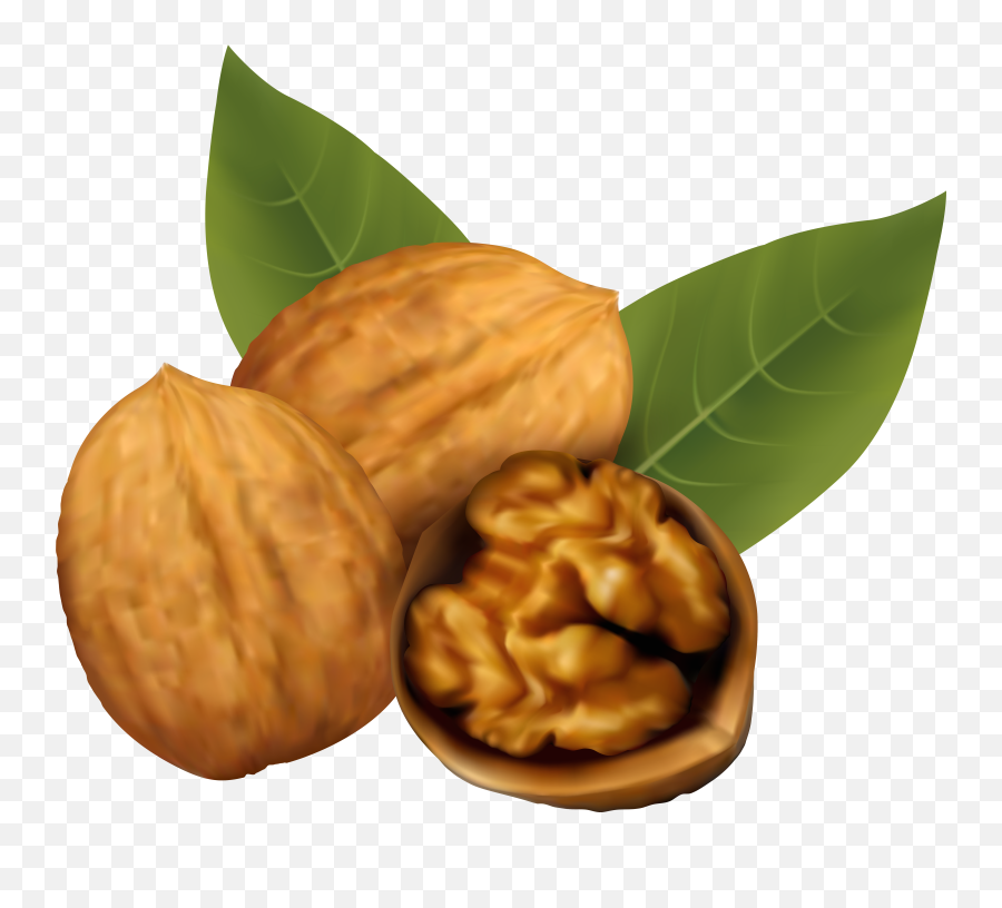 Walnuts Png Clipart Image Emoji,Walnut Emoji