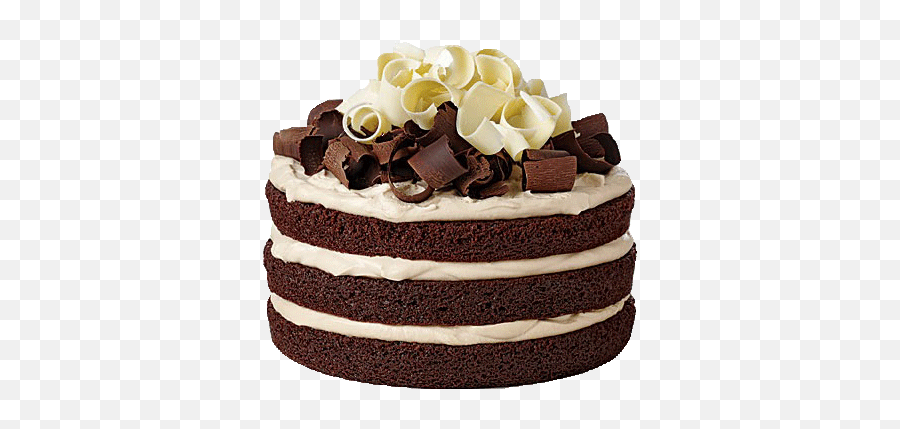 Chocolate Cake - Sorry For Not Replying Meme Emoji,Chocolate Cake Emoji