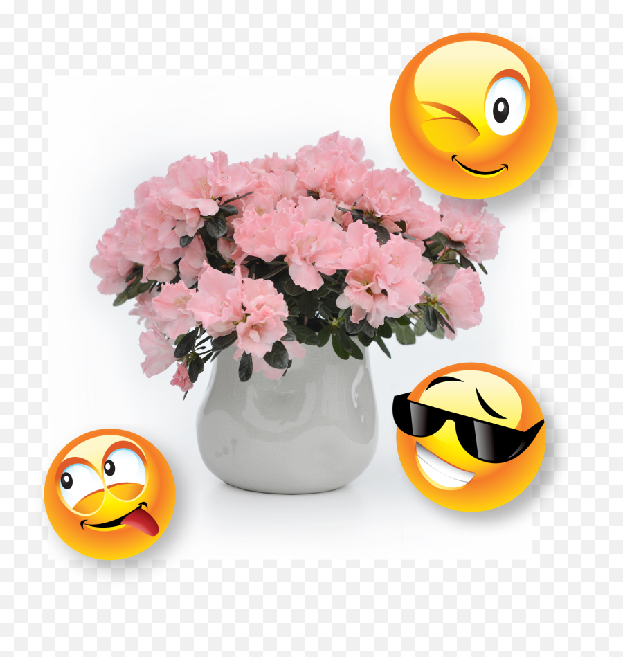 Consumer Info - Artificial Flower Emoji,Emoticon Flowers