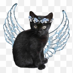Panther Sticker - Black Cat Emoji,Panther Emoji