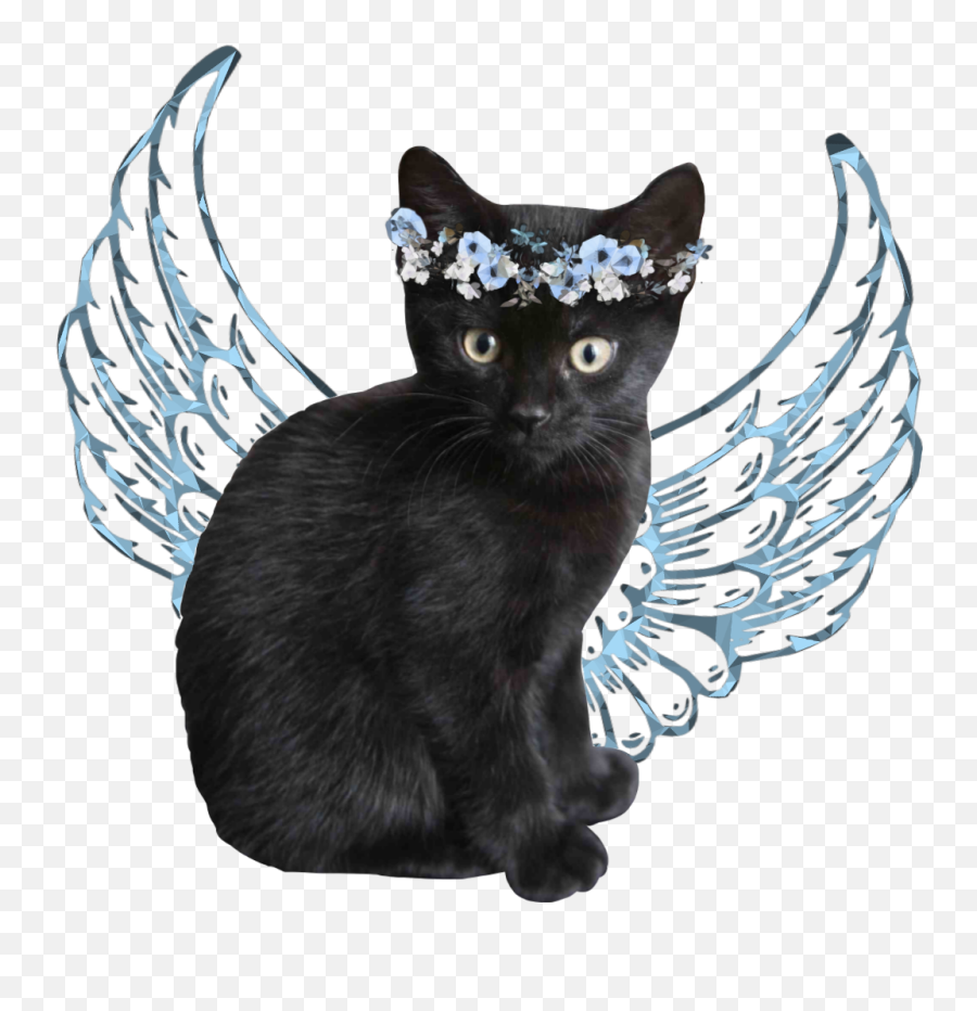 Panther Sticker - Black Cat Emoji,Panther Emoji