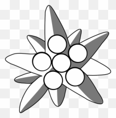 Free Alpine Nature Illustrations - Edelweiß Transparent Emoji