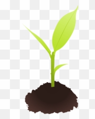 Library Of Picture Free Download Seedling Png Files - Clipart Small Plant Emoji,Seedling Emoji