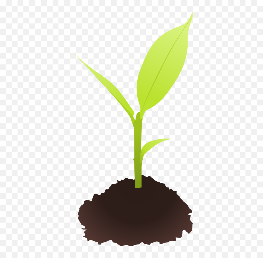 Library Of Picture Free Download Seedling Png Files - Clipart Small Plant Emoji,Seedling Emoji