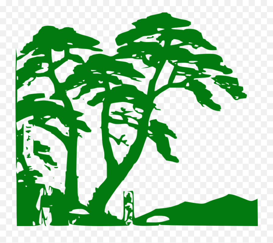 Rainforest Vegetation Trees - Rainforest Clipart Emoji,Wolf Emoji Iphone