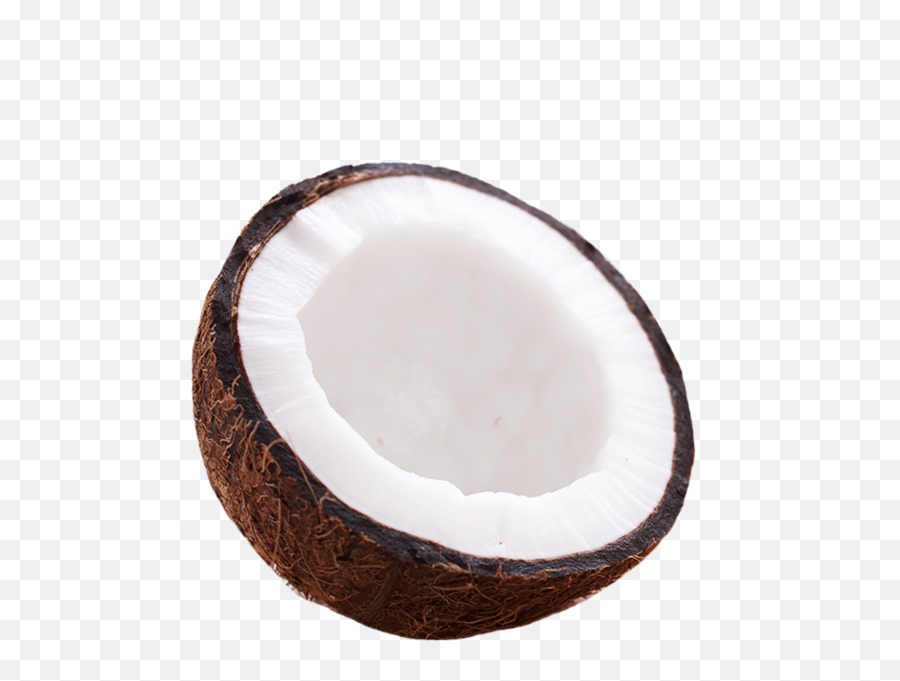 Coconut - Circle Emoji,Emoji Coconut