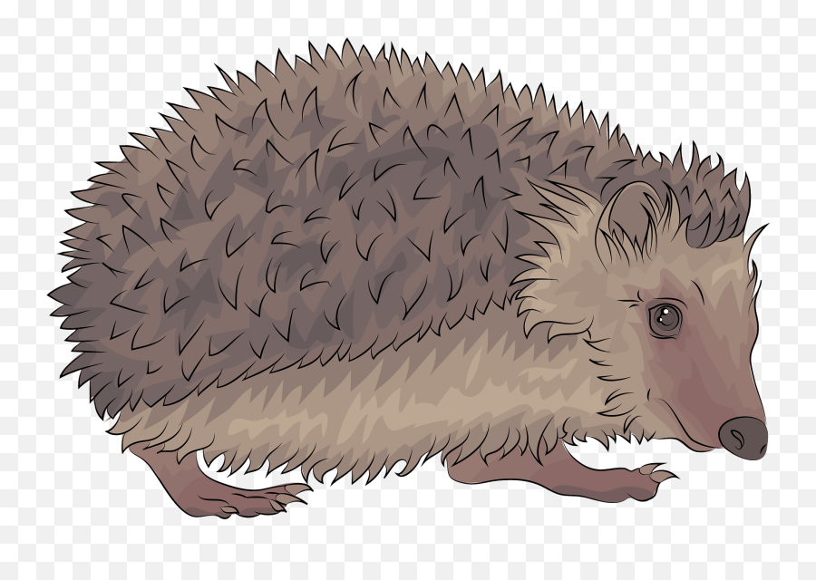 Hedgehog Clipart - Igel Clipart Emoji,Hedgehog Emoji