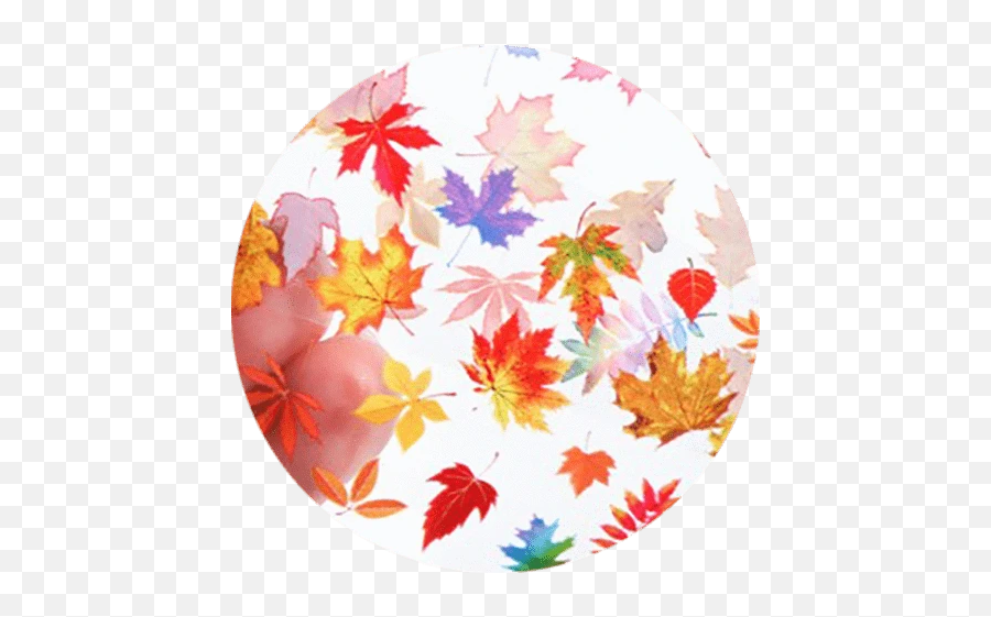 Fallhalloween Shop Sale Save 15 - Gel Essentialz Decorative Emoji,Fall Leaves Emoji