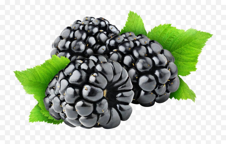 Free Blackberry Png Download Free Clip Art Free Clip Art - Blackberry Fruit Png Emoji,Passion Fruit Emoji