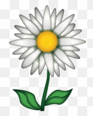 Flower Emoji Png - Papatya Emojisi