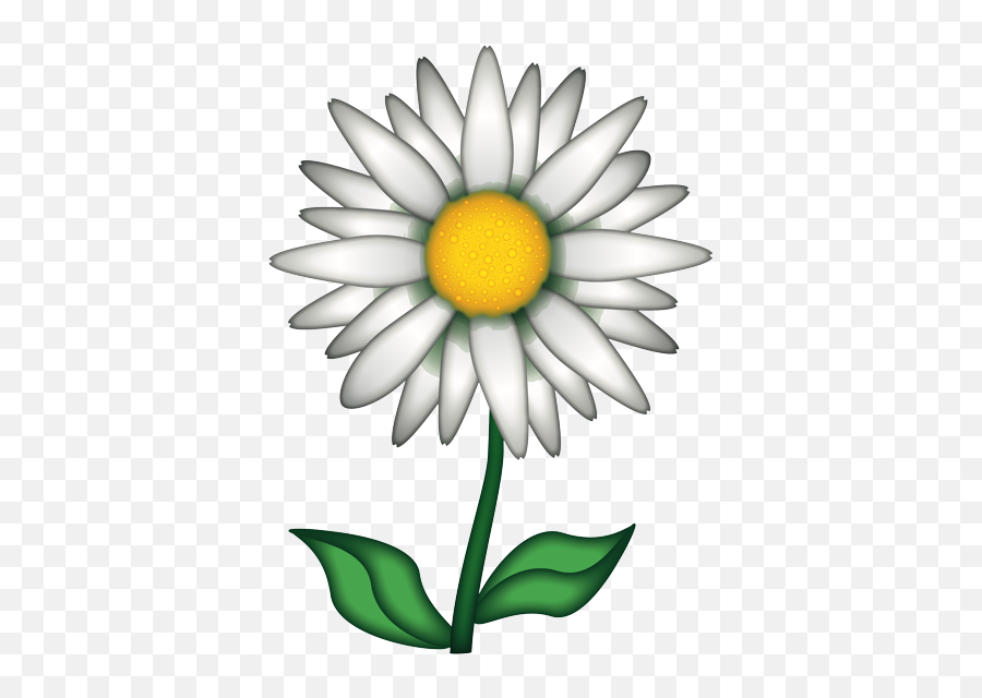 Flower Emoji Png - Papatya Emojisi,Brand Emoji