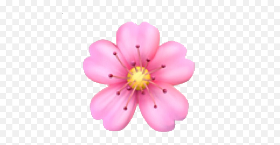 Emoji Domain Flower - Cherry Blossom Emoji Png,Flower Girl Emoji