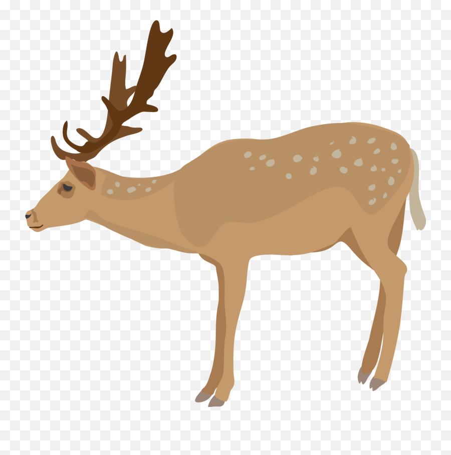 Deer Antler Clip Art Use These Free - Transparent Background Deer Clipart Emoji,Antler Emoji