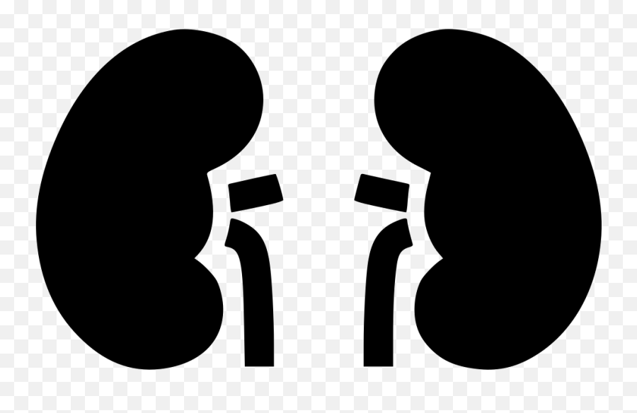 Kidney Clipart Kidney Outline Kidney - Kidney Clipart Emoji,Kidney Emoji