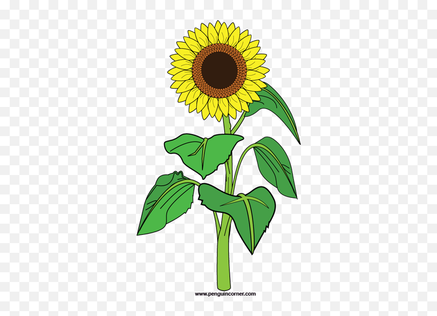 Sunflower Clip Art Free Clipart Images 2 Clipartbold - Clipartix Sunflower Clipart Emoji,Sunflower Emoji Transparent