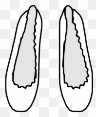 Flat Shoes Clipart - Flats Shoes Clipart Emoji,Ballet Shoe Emoji