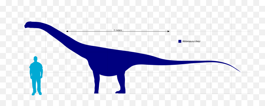 Malawisaurus Scale - Malawisaurus Size Emoji,Dinosaur Emoji Text