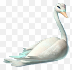 Swan Barbie Odette - Waterfowl Emoji,Swan Emoji