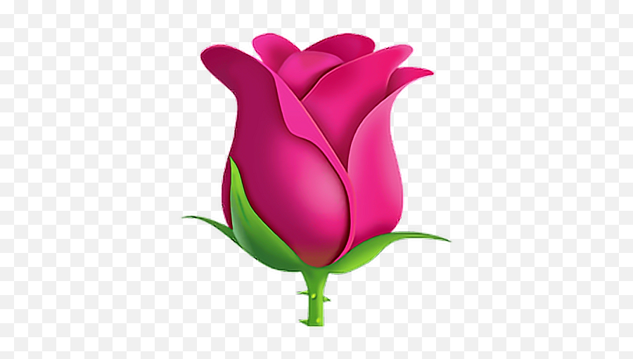 Emoji - Pink Rose Emoji,Bouquet Emoji