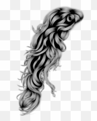 Black Curly Hair PNG Official PSDs - Png Emoji