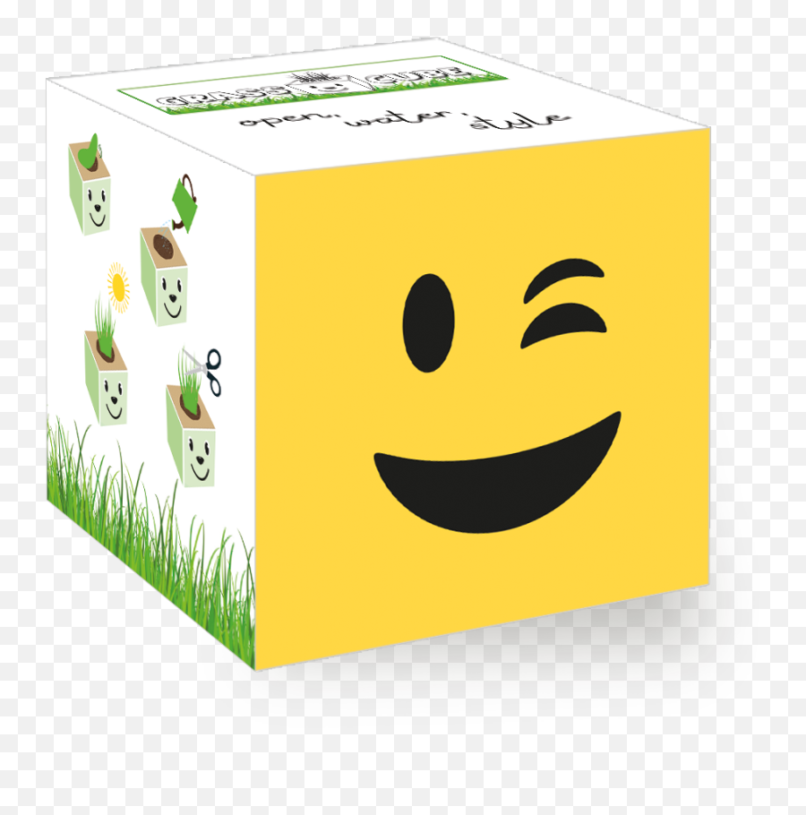 Winking - Panda Cube Emoji,Emoji Box