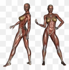 Muscle Muscular Woman Body Bodybuilder - Muscles Emoji