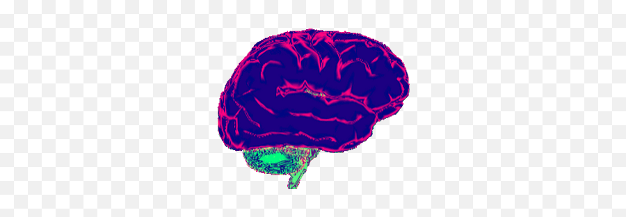 Top Brain Brawn Beauty Stickers For Android U0026 Ios Gfycat - Brain Rotating Gif Transparent Emoji,Brain Emoticon