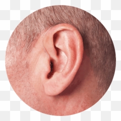 Inner Ear Hearing Nerve Function - Ric Aid Audifonos Starkey Livio Emoji