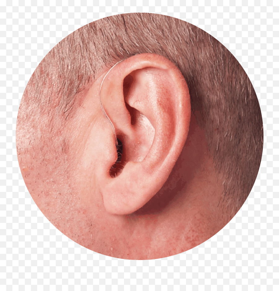 Inner Ear Hearing Nerve Function - Ric Hearing Aid Ear Audifonos Starkey Livio Emoji,Hearing Aid Emoji