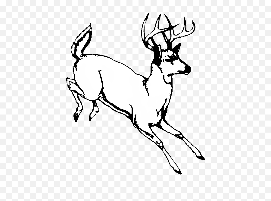 Clipart Whitetail Deer Logo - Deer Running Away Clipart Emoji,Buck Deer Emoji