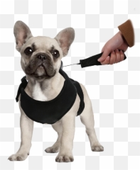 Lucky Leash Retractable Dog Harnesses - Sherpa To Go Pet Carrier 16 Lx 11 Hx D Emoji,Puppy Dog Eyes Emoticon