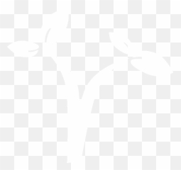 Mute Swan Overview All About Birds Cornell Lab Of Ornithology - Johns Hopkins Logo White Emoji,Swan Emoji