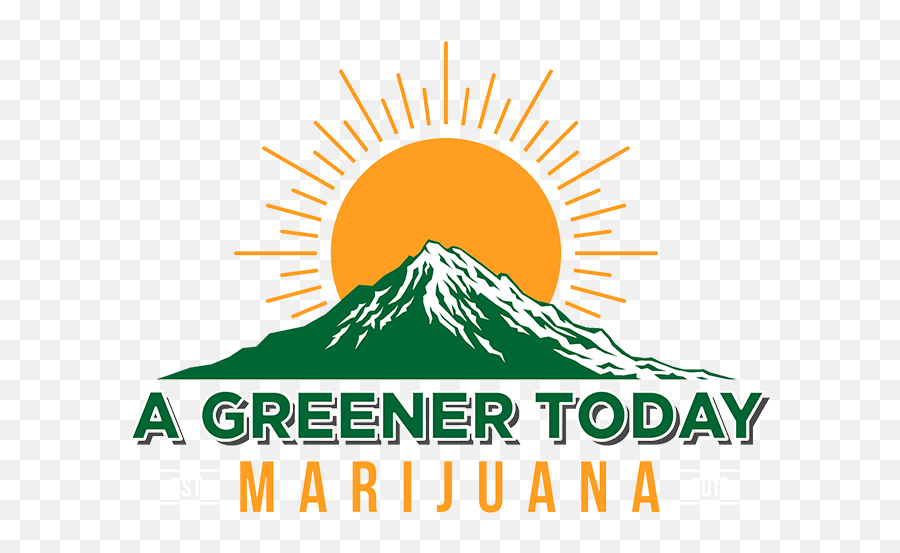 A Greener Today Gold Bar - A Greener Today Marijuana Greener Today Shoreline Emoji,Marijuana Emoji