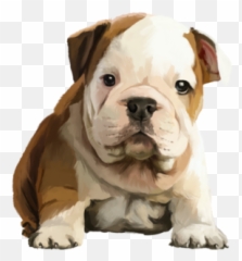 Valley Bulldog Old English Bulldog Toy Bulldog Olde English - Dog Emoji,Bulldog Emoji