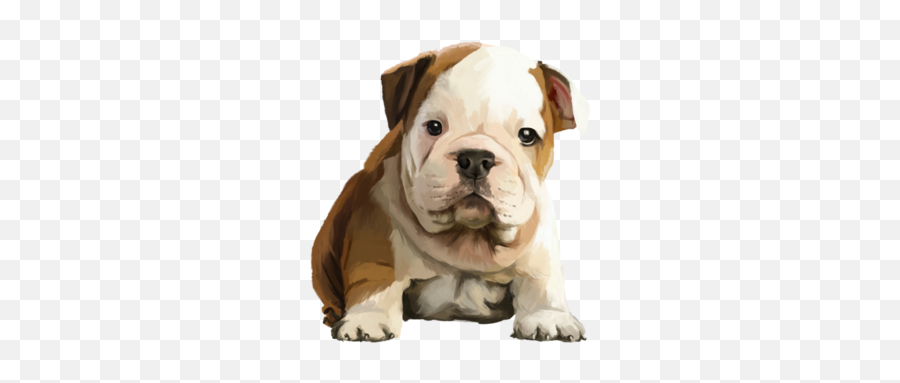 Valley Bulldog Old English Bulldog Toy Bulldog Olde English - Dog Emoji,Bulldog Emoji