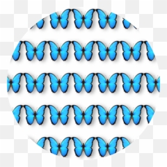 Butterfly Background Blue White Circle - Clip Art Emoji,White Circle Emoji