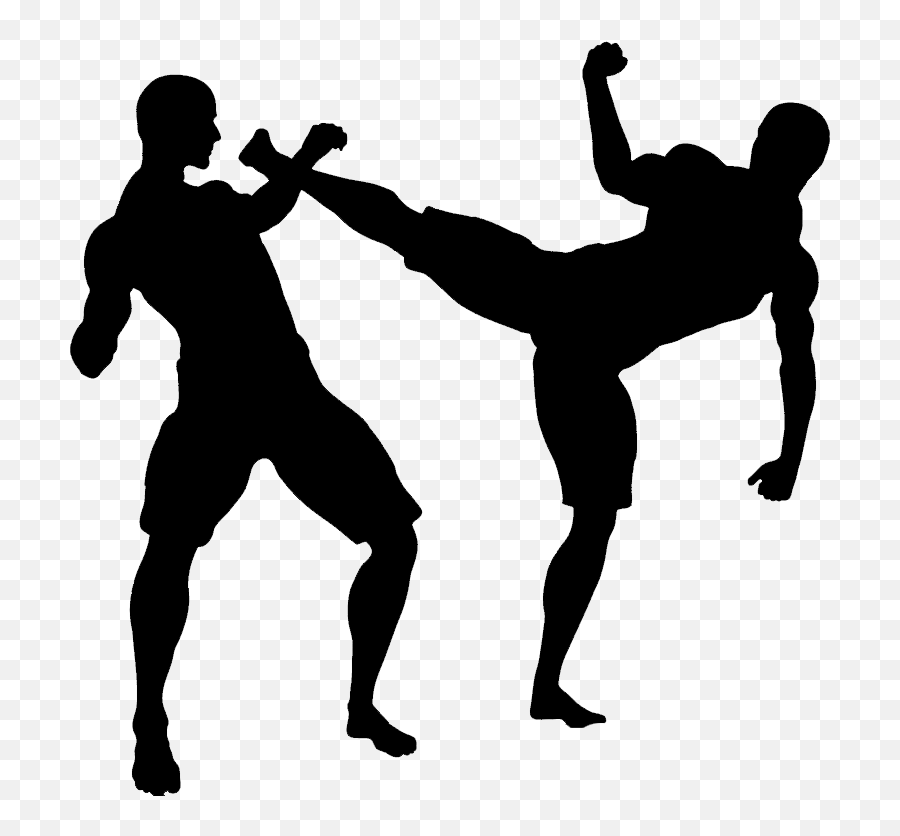 Mixed Martial Arts Clipart - Cartoon Mixed Martial Arts Emoji,Martial Arts Emoji