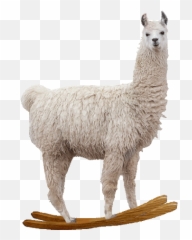 Alpaca Transparent Gif Picture - Llama Gif Transparent Background Emoji,Alpaca Emoji