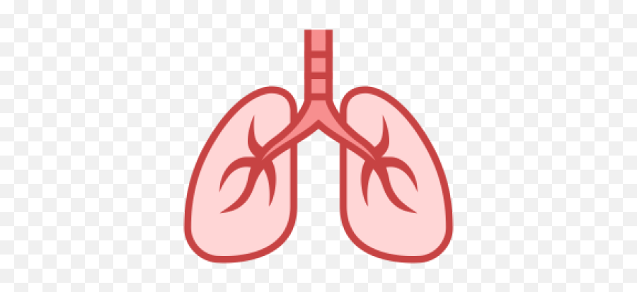 Lungs Clipart Transparent Background - Lungs Png Emoji,Lung Emoji