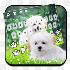 Cute Puppy Keyboard Theme - Maltese Emoji