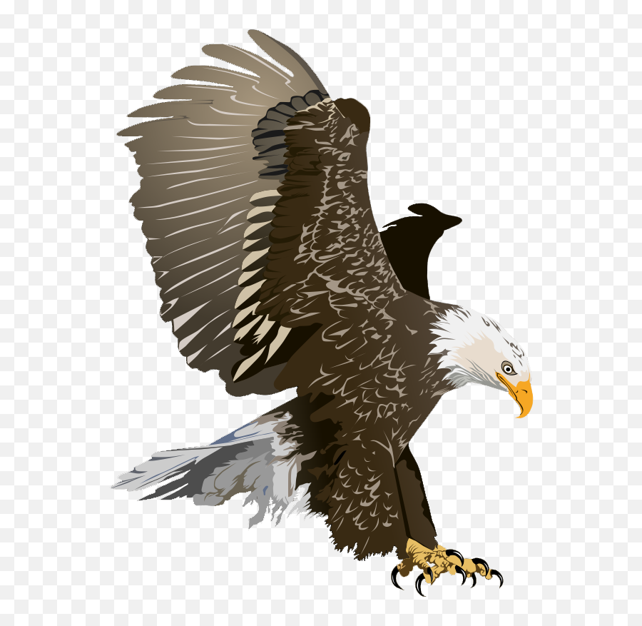 Bald Eagle Free Eagle Clip Art Pictures - Realistic Bald Eagle Clipart Emoji,Bald Girl Emoji