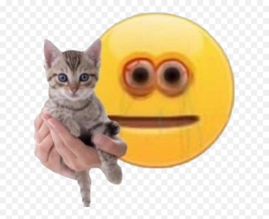 Take This Cat Vibecheck - Cursed Emoji With Cat,Blacky Emoticons