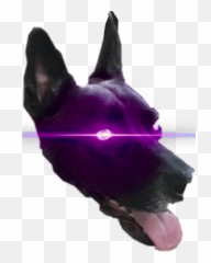 Cute Doggo Doge Shibe Cutiepatootie Yeet Yee Gottem Tha - Animal Figure Emoji,Gottem Emoji