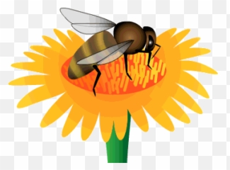 Bee Clipart Animated Gif - Honey Emoji